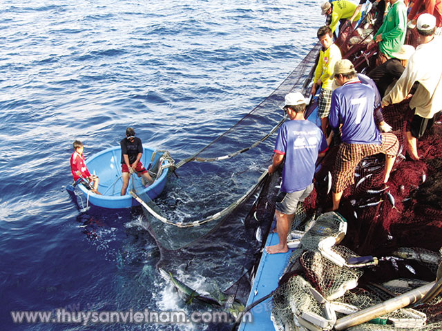 Lĩnh vực khai thác đang rất cần được hỗ trợ Ảnh: Việt Hương